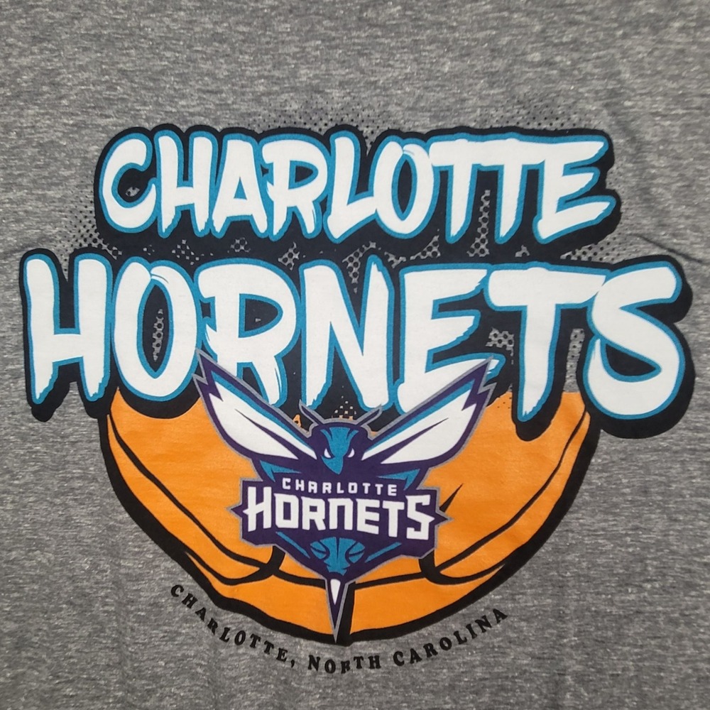 Charlotte Hornets NBA Basketball Graphic T Shirt Gray Size Large Blue 84 NWT